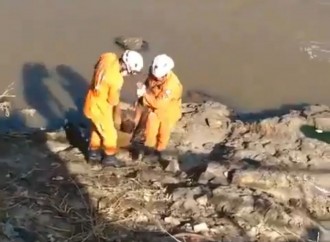 “Morto” acorda na hora em que bombeiros o resgatam dentro de rio